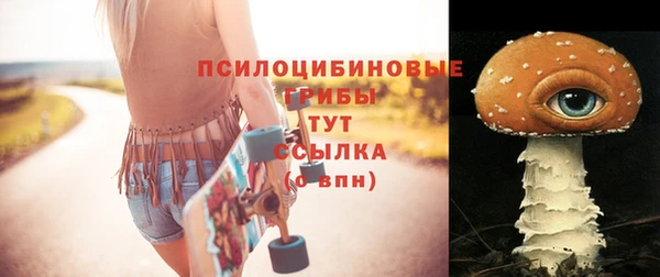 соль курить ск Аркадак